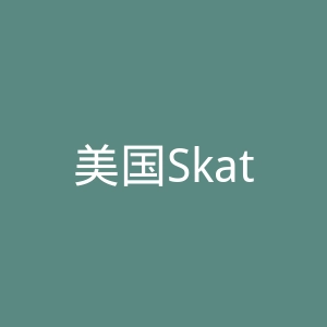 美国SkateGuru溜冰鞋、服饰与装备海淘官方网站官网