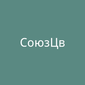 СоюзЦветТорг俄罗斯鲜花配送服务网站官网