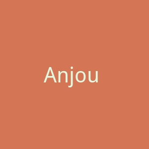 Anjou Connectique法国五金、管道和PEX配件购物网站官网