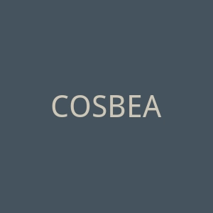 COSBEAUTY日本美容仪品牌购物官方网站官网