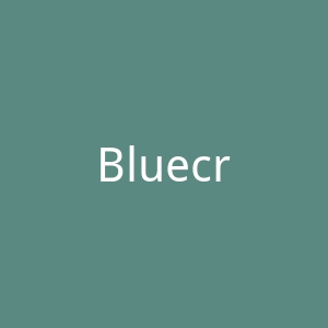 Bluecrest Wellness私人健康检查服务网站官网