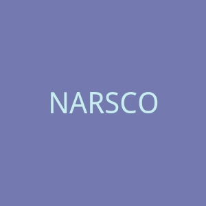 NARSCOSMETICS美国专业彩妆品牌英国官网