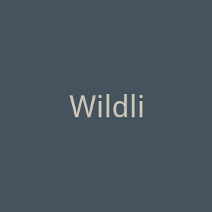 Wildling Beauty 美国面部刮痧护肤品牌购物网站官网