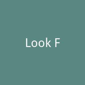 Look Fabulous Forever 英国大龄女性化妆品官方网站官网