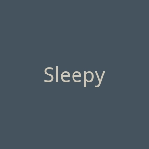 Sleepyhead USA记忆海绵床垫罩海淘官方网站官网