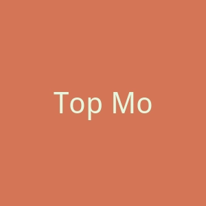 Top Mobility 助行器滑板车产品海淘官方网站官网