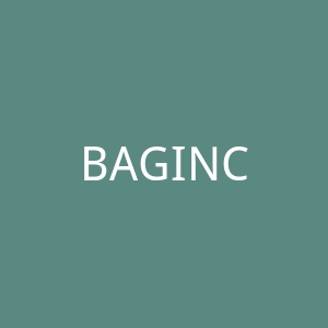 BAGINC 流行手袋购物网站官网
