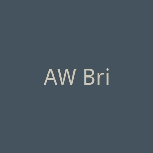 AW Bridal婚纱、伴娘服、新娘配饰网购网站官网