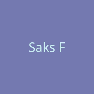 Saks Fifth Avenue萨克斯第五大道精品百货店官网
