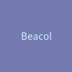 Beacolors美国彩色隐形眼镜官方网站官网