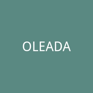 OLEADA美国奥丽达女士工作包品牌官方网站官网
