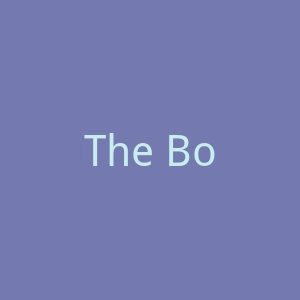 The Boys Store时尚男童服装外套购物网站官网