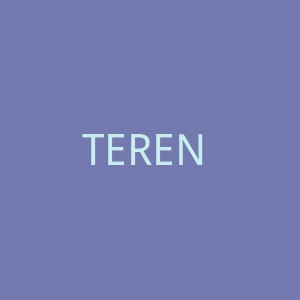 TEREN Designs美国户外服装旅行裤购物网站官网