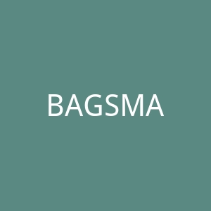 BAGSMART 笔记本电脑背包和公文包，旅行箱官网
