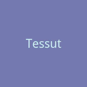 Tessuti英国奢华女装官方网站官网