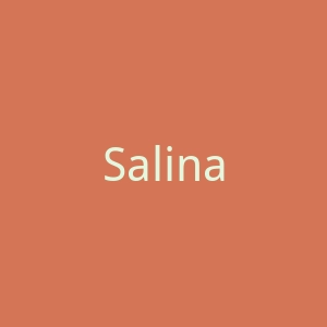 Salinas Rio巴西比基尼男女士沙滩装购物网站官网