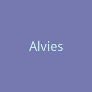 Alvies美国牛仔靴和人字拖海淘购物网站官网