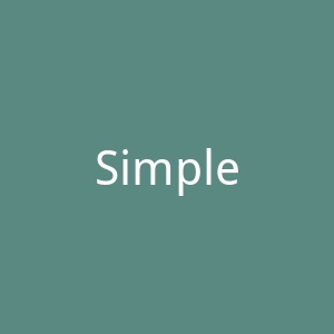 Simple Retro美国简约复古女装购物网站官网