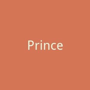 Princess Polly澳大利亚女装连衣裙品牌美国购物网站官网