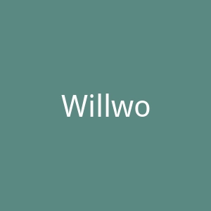 Willwork手工订婚戒指和结婚戒指定制网站官网