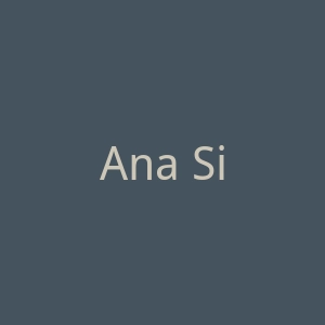 Ana Silver Co 美国潮流银饰和宝石首饰官网