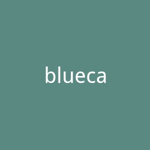 bluecado文胸和上衣品牌海淘购物网站官网