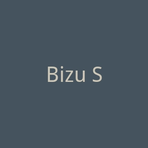 Bizu Shoes意大利芭蕾舞鞋海淘购物网站官网