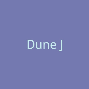 Dune Jewelry 沙滩饰品礼物购物网站官网