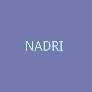 NADRI 美国奢华纯银宝石首饰品牌网站官网