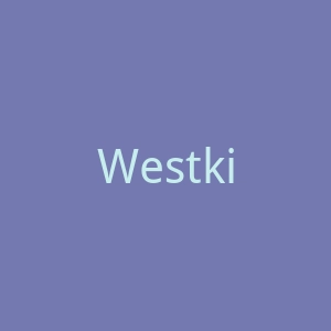 Westkiss 中国真人发假发品牌跨境购物网站官网