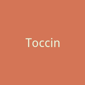 Toccin 美国女装连衣裙、夹克、外套购物网站官网