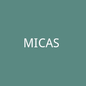 MICAS 美国女性时装品牌官方网站官网