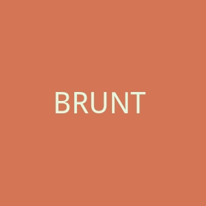 BRUNT 美国工作服、工作靴海淘购物网站官网