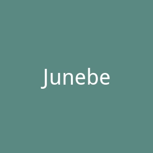 Juneberry 健身服装运动文胸品牌购物网站官网