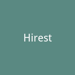 Hirestreet 英国时尚女装在线租赁官方网站官网
