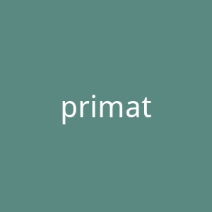 primate 个性化的盒装饮食官方网站官网