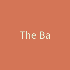 The Babys Brew美国便携式暖奶器品牌购物网站官网