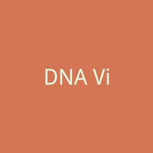 DNA Vibe美国官网