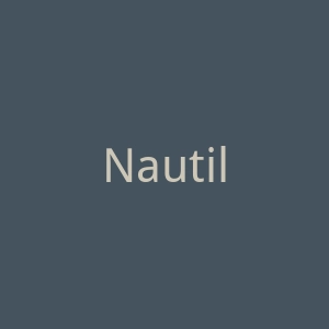 Nautilus Puzzles 成人木制拼图品牌购物网站官网