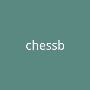 chessbazaar 国际象棋套装海淘购物网站官网