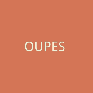 OUPES 便携式发电站官方网站官网