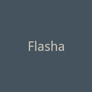 Flashark-Performance 汽车零部件购物网站官网