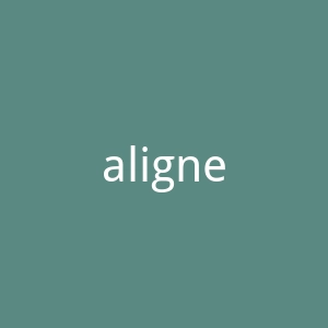 aligner32 定制牙齿矫正产品购物网站官网