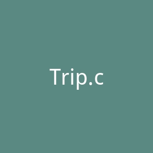 Trip.com 携程网比利时官方网站官网