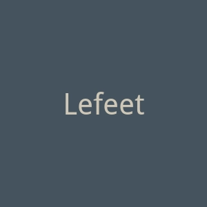 Lefeet 电动水下滑板车购物官方网站官网