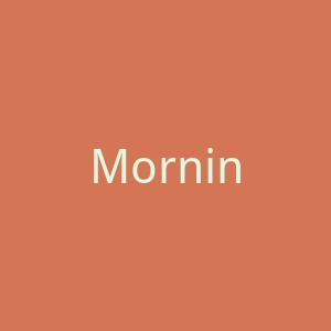 Morning Brew美国官网