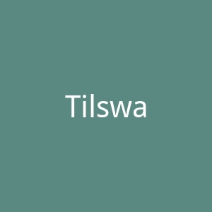 Tilswall 中国电动工具品牌美国网站官网