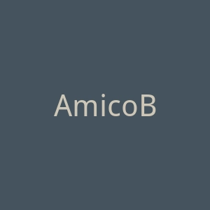 AmicoBlu 意大利面包车租赁和商用车租赁网站官网