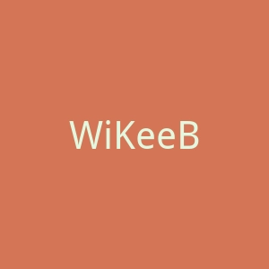 WiKeeBuy 电动滑板车海淘购物网站官网