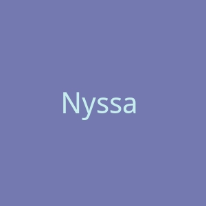 Nyssa 美国产后恢复内衣海淘网站官网